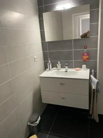 F3 De 74 M2- Chez Carole Et Laurent * Metz